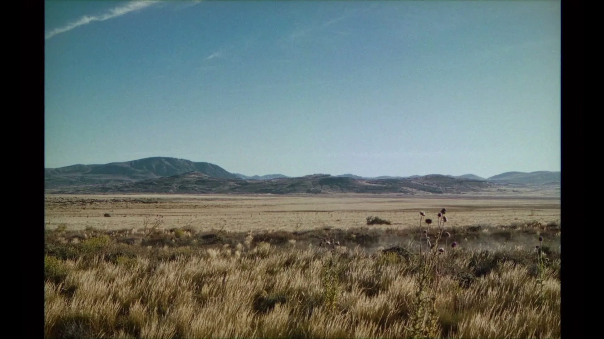 A wide shot of a vast, dry, grassy plain with mountains in the background under a clear blue sky, with some dry plants in the foreground.