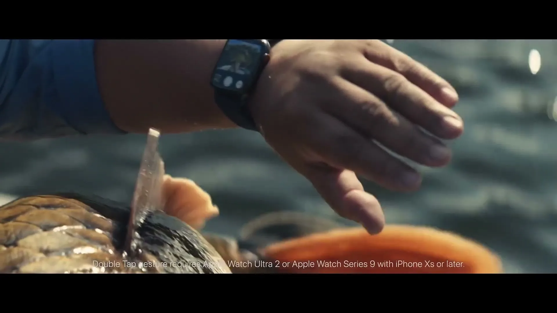 A person wearing a blue shirt and an Apple Watch on their wrist is seen from a medium closeup, interacting with a fish on a boat.