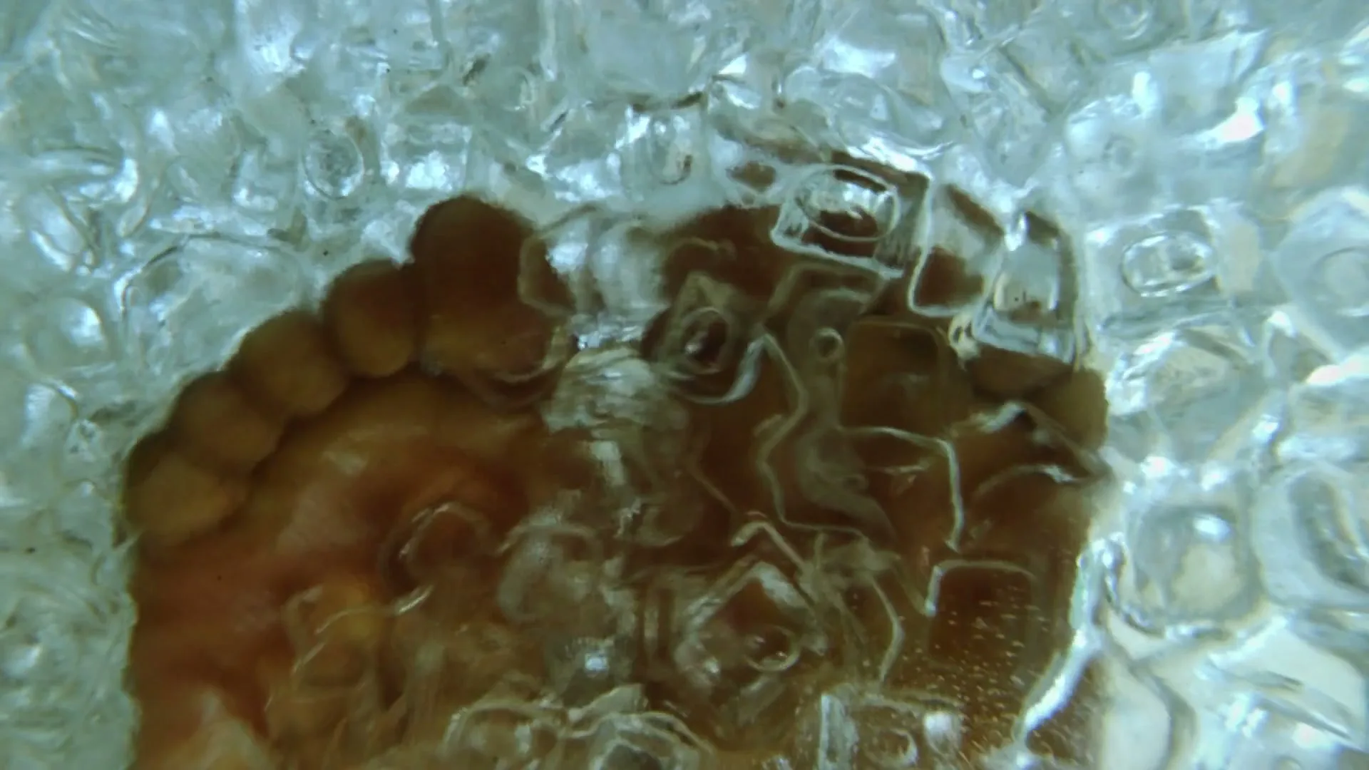 A person's foot is submerged in a container filled with ice cubes and water, seen from a top-down perspective.