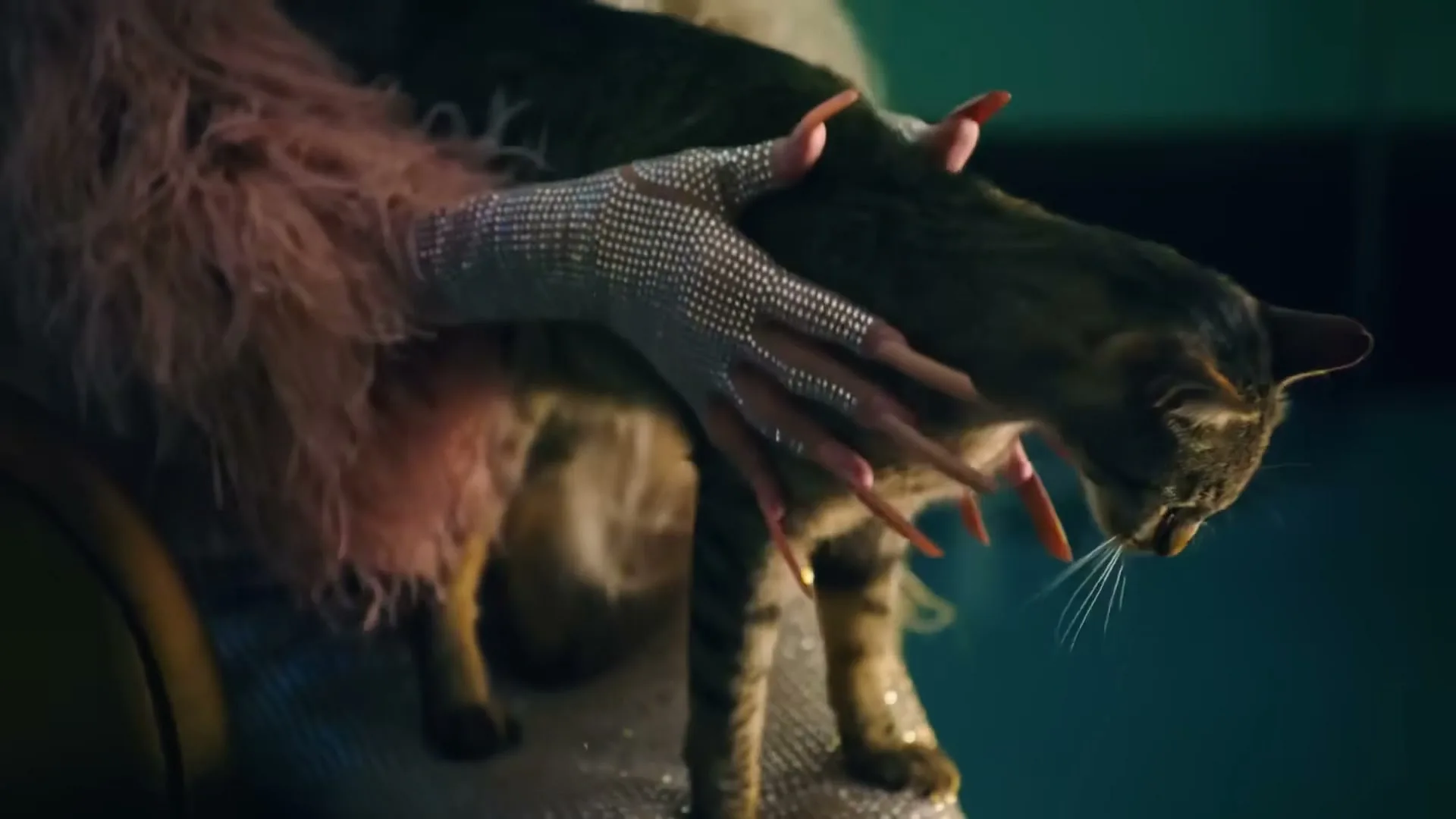 A person with a long, claw-like, bejeweled hand and a pink feathery sleeve holds a tabby cat in an interior setting.