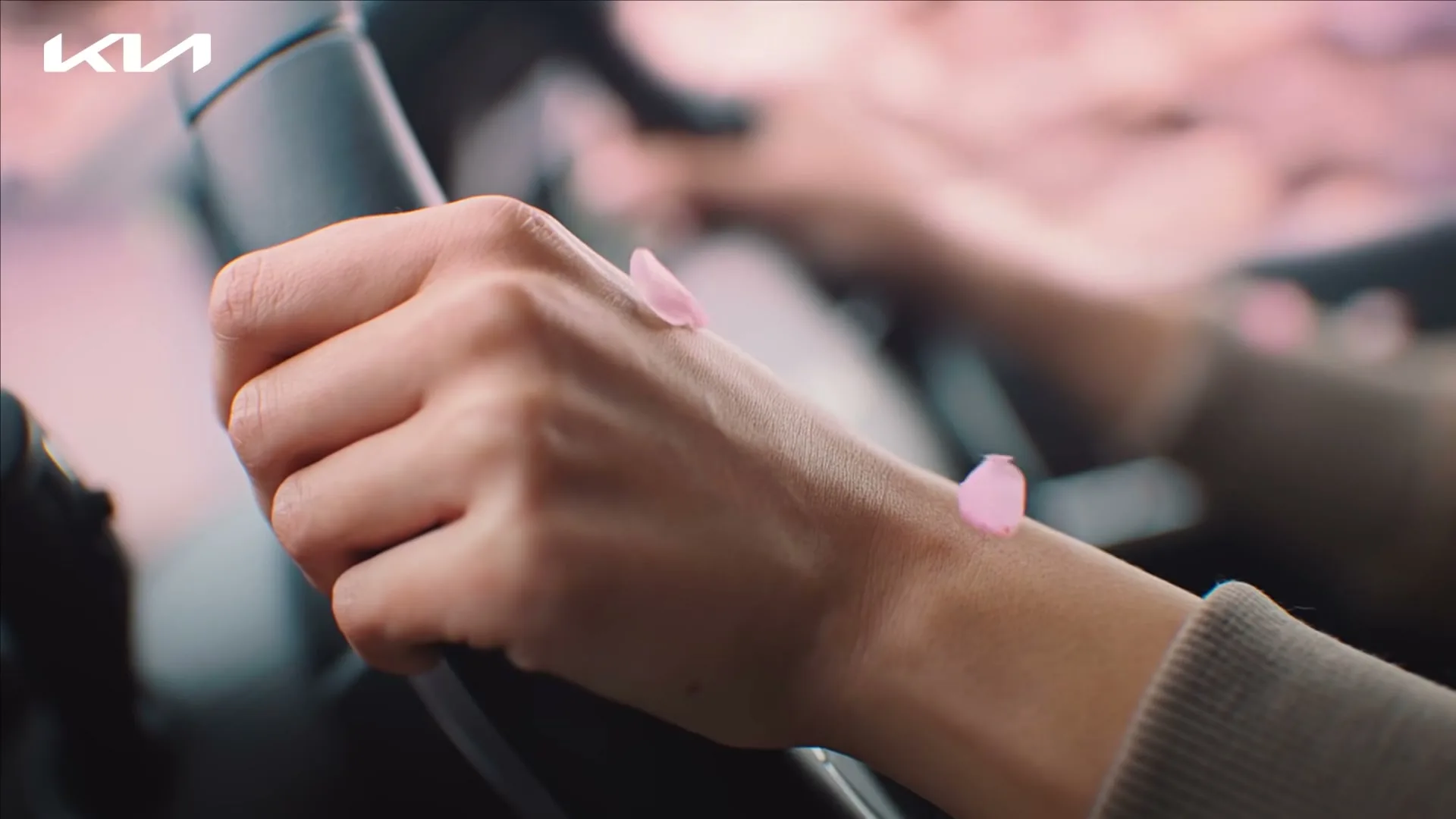 A person's hands are on a steering wheel, with pink petals falling around them, inside a car during the day.