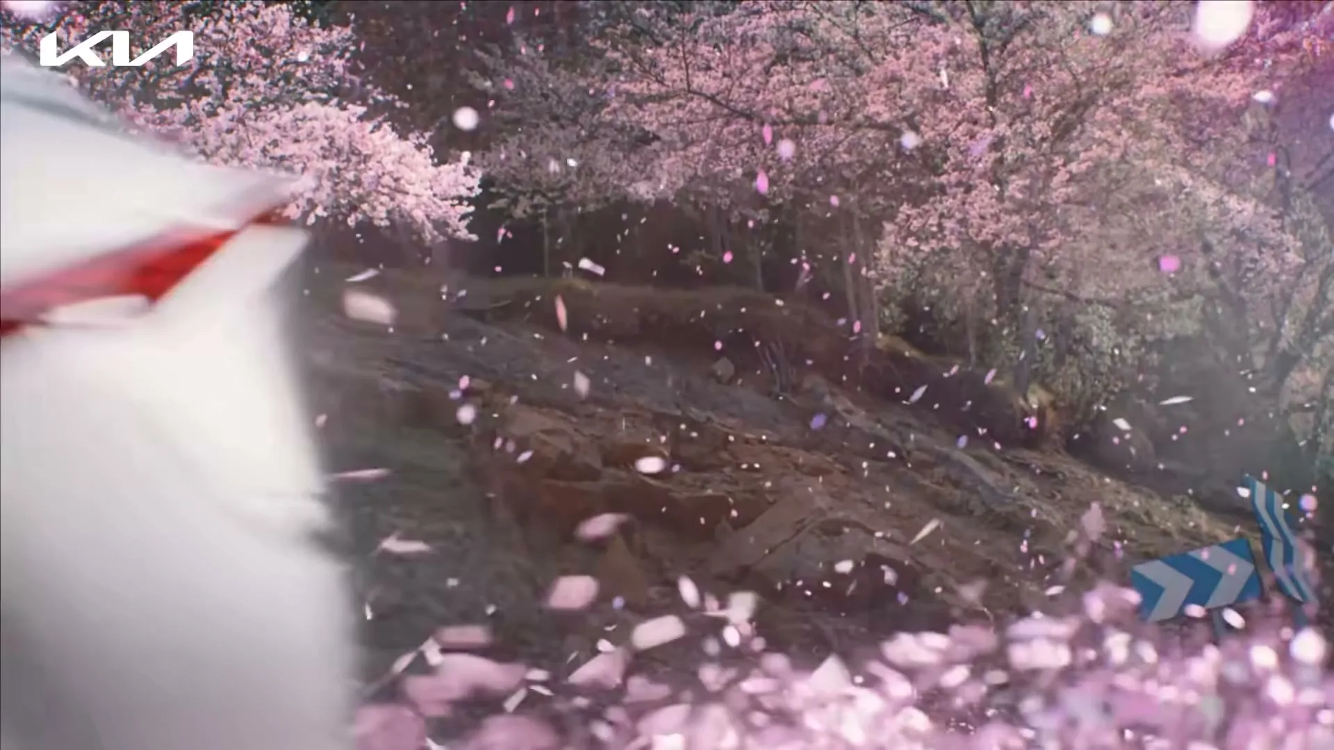 A white Kia EV6 drives past a hillside covered in cherry blossom trees, with pink petals falling and swirling around the car.