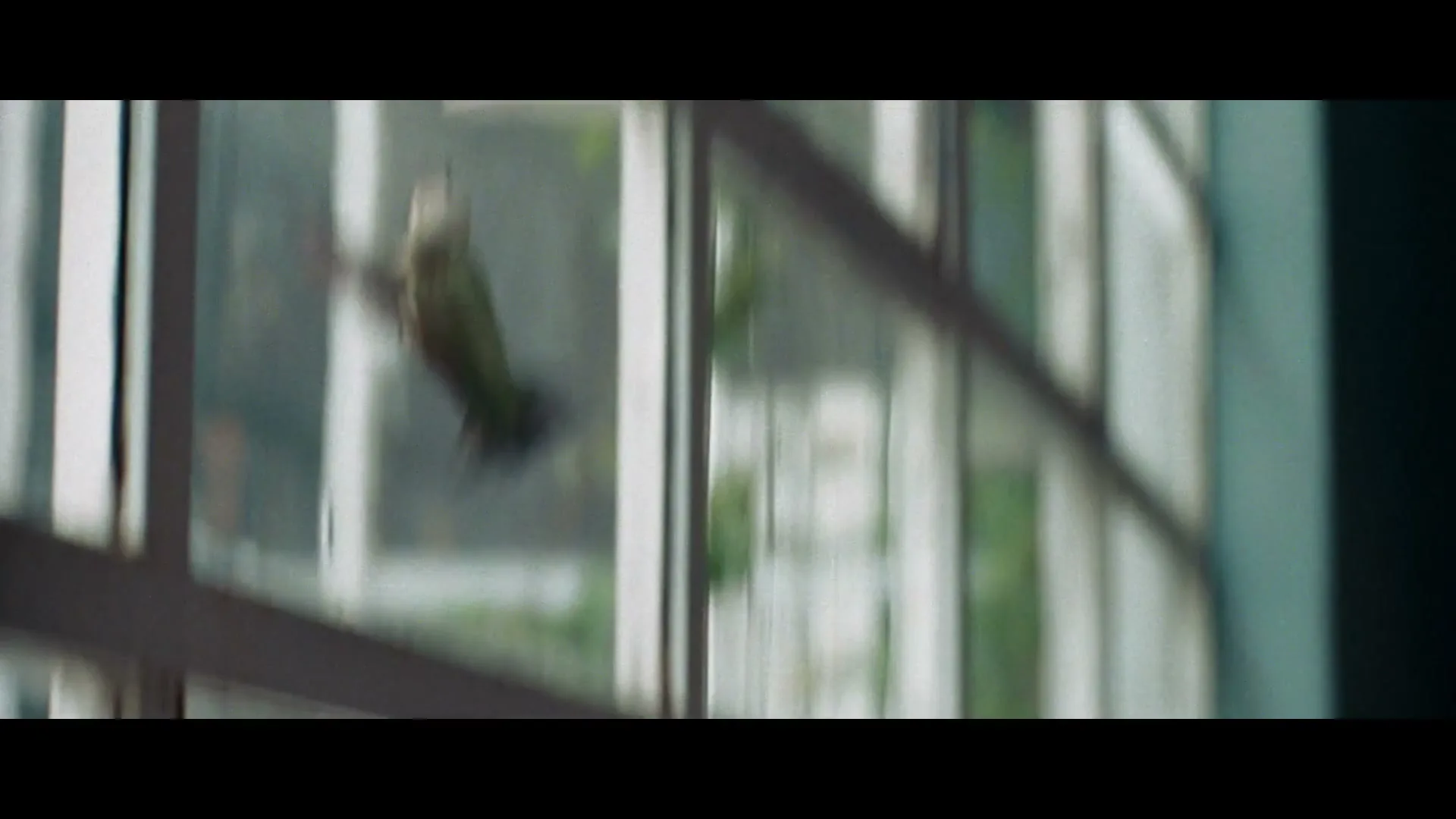 A small hummingbird with green and brown feathers hovers in front of a window with white panes, its wings blurred from rapid movement.