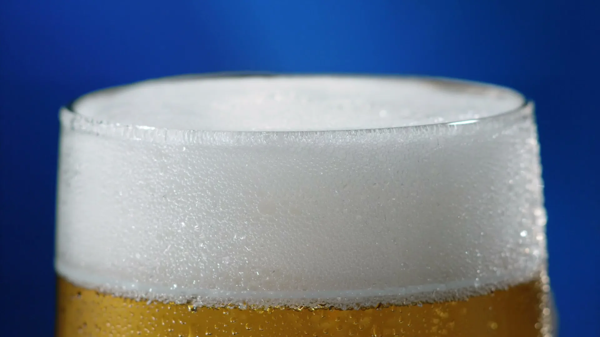 A single drop of liquid falls into the foamy head of a glass of beer against a blue background.