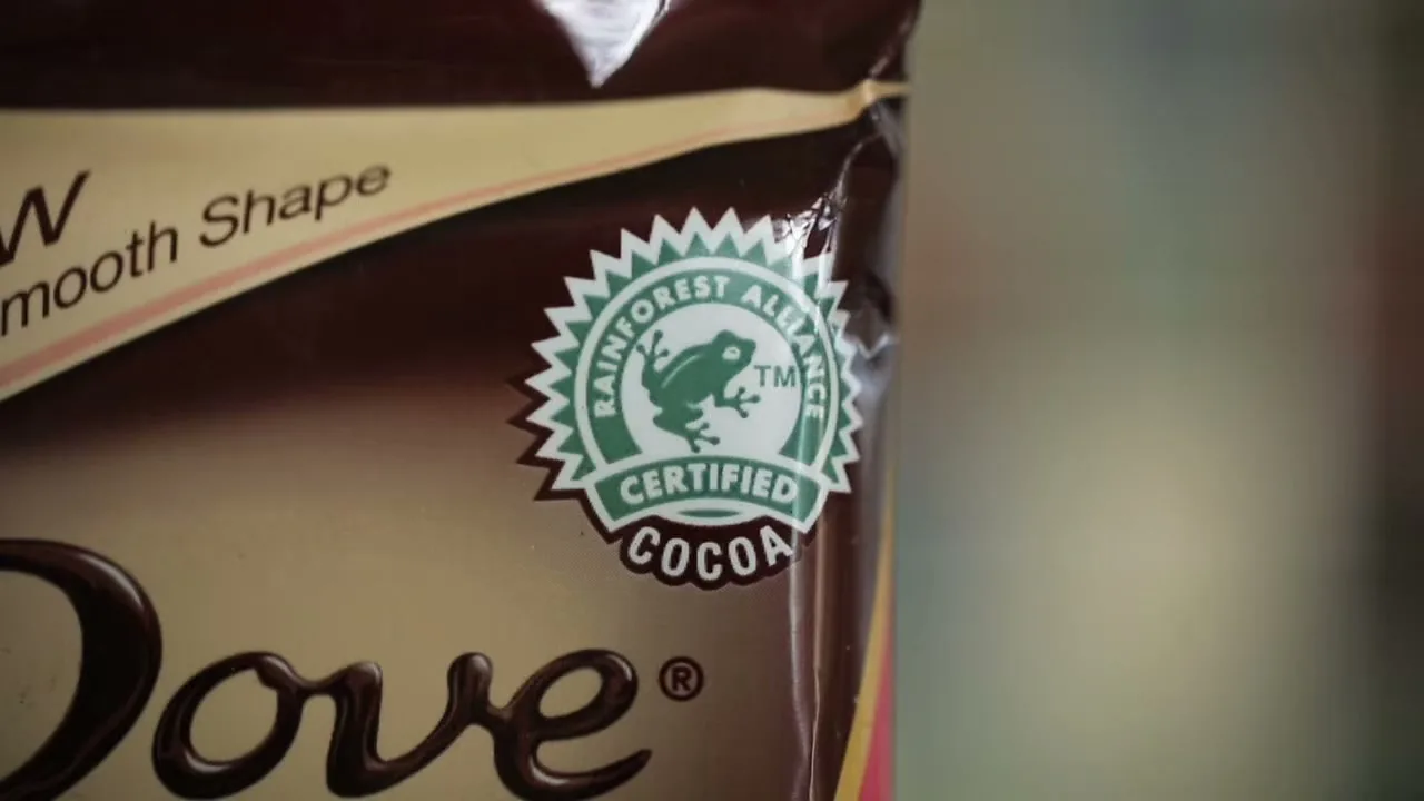 A close-up shot of a Dove chocolate bar wrapper, featuring the Rainforest Alliance Certified Cocoa logo with a frog icon.