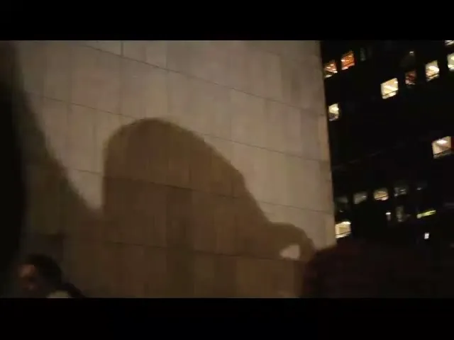 US Cellular “Shadow Puppets” (2010), frame 3