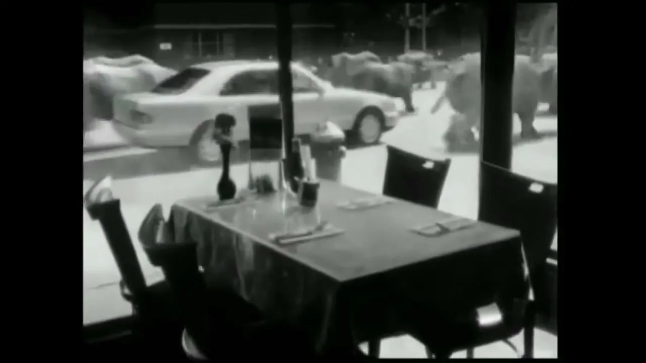 A herd of rhinos stampedes past a restaurant window, where a table is set for dining, in a black and white shot.