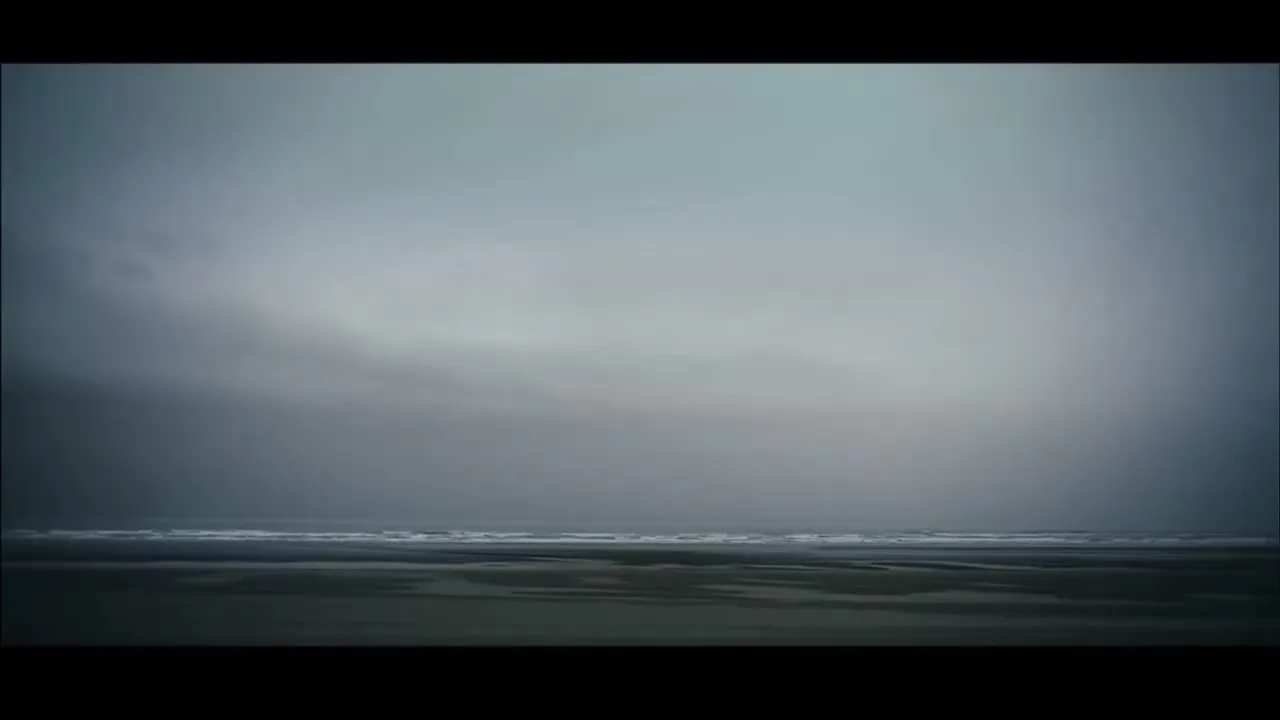 A wide shot of a desolate, misty beach with dark sand and foamy waves under a cloudy, grey sky.