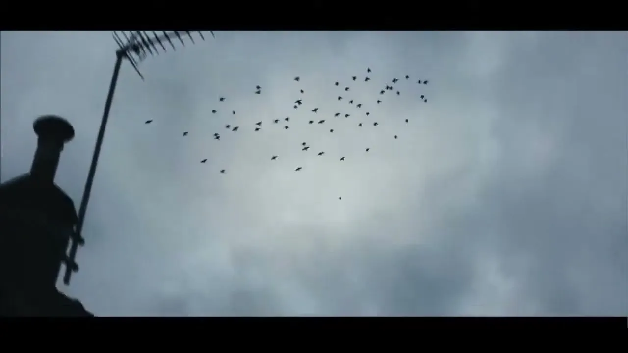 A flock of birds flies in a murmuration against a cloudy sky, with a rooftop and antenna visible in the foreground.