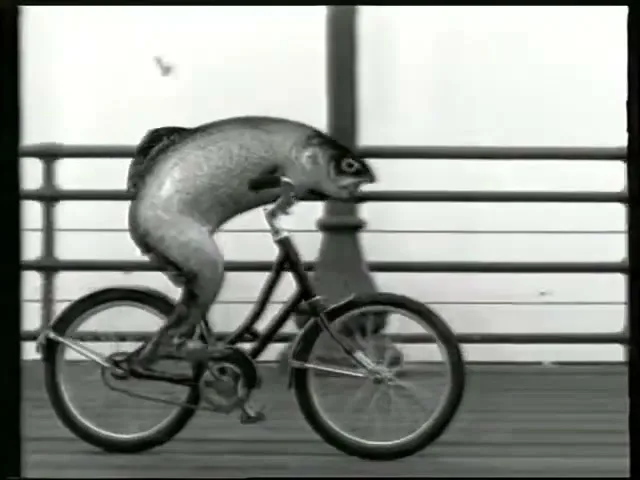 Guinness Brewing GB "Bicycle" (1997) commercial still