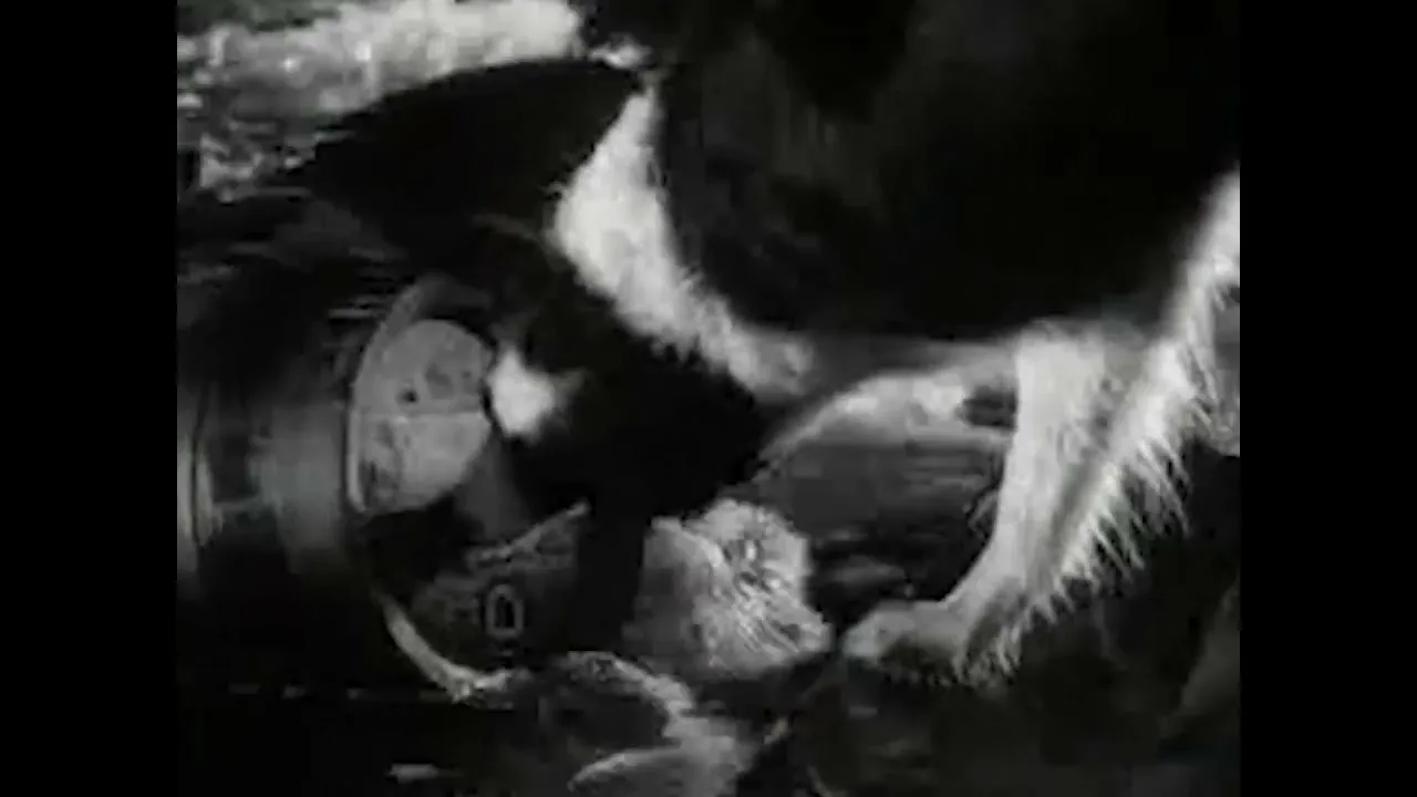 Bass Brewers “Tennent's Galore” (1993), frame 3