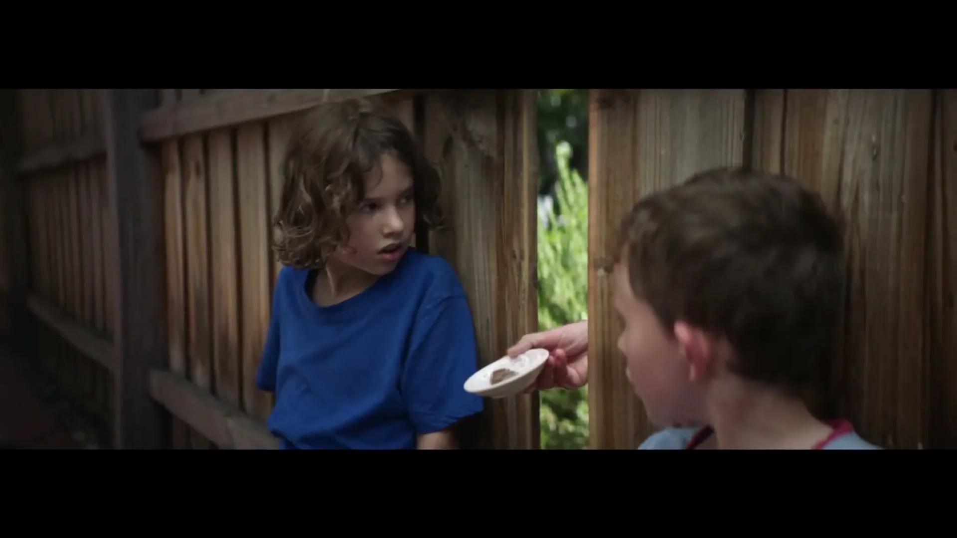 Cadbury "Fence" (2020) commercial still