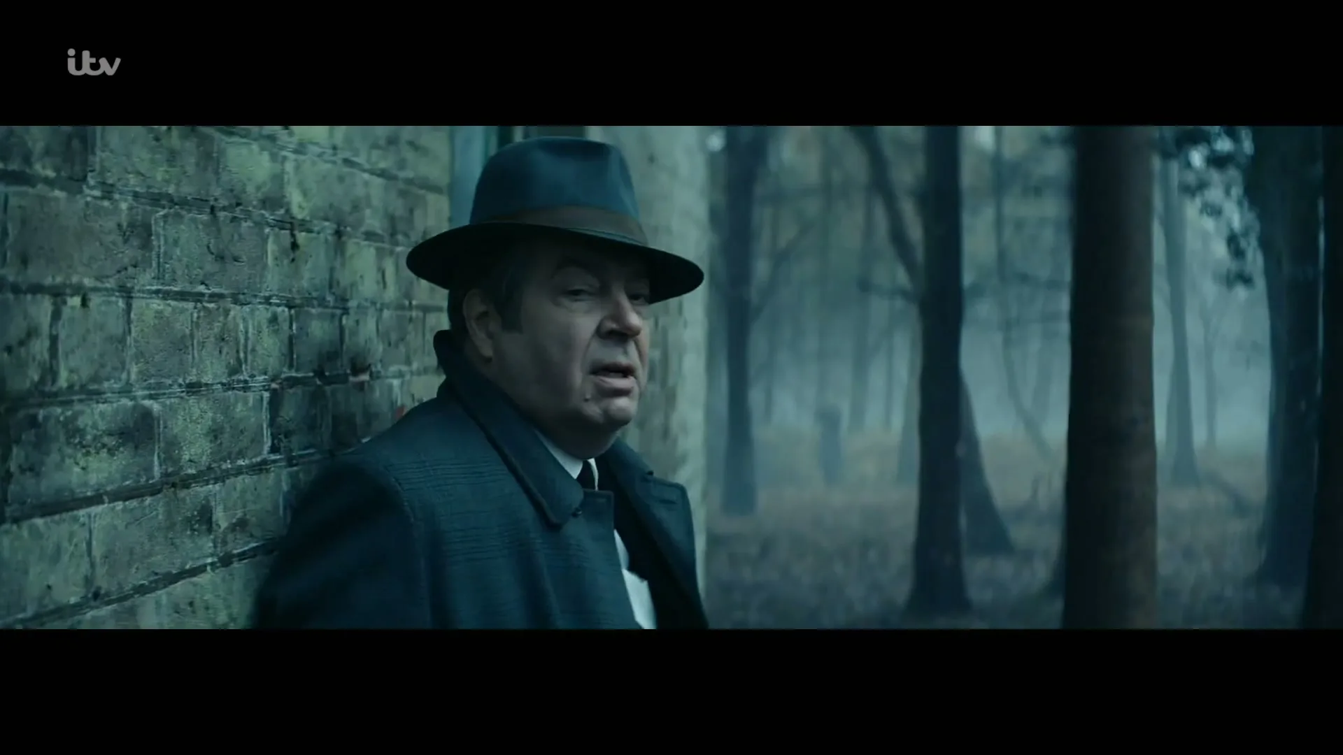 A man in his 60s, wearing a dark coat and fedora, leans against a brick wall in a misty forest, looking concerned.