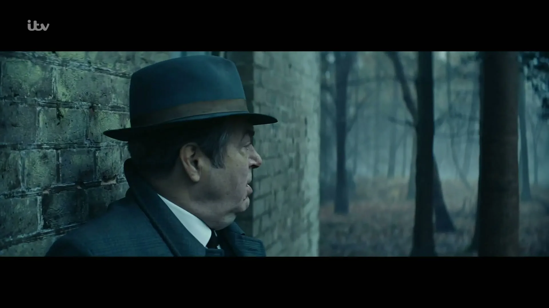 A man in his 50s or 60s, wearing a blue fedora and trench coat, leans against a brick wall in a misty forest, looking concerned.