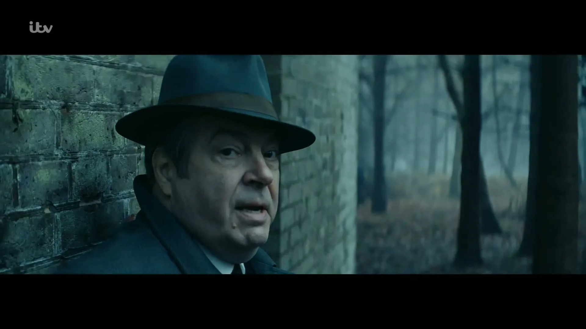 A man in a fedora and trench coat leans against a brick wall, looking concerned, with a misty forest in the background.