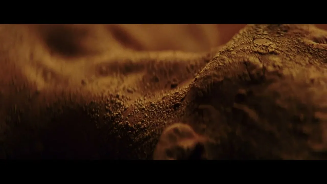 Pinacoteca do Estado de São Paulo “Antropophagy” (2018), frame 4