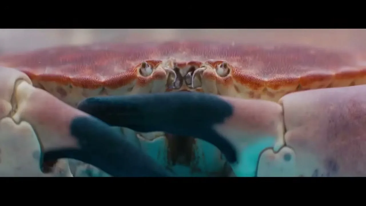 Intermarché “J'ai tant rêvé” (2018), frame 5