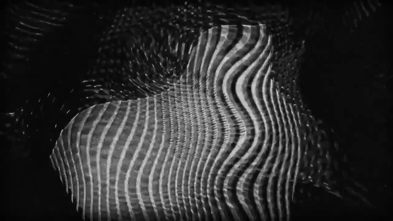 Leica M-Monochrom "Everything in Black & White" (2017) commercial still