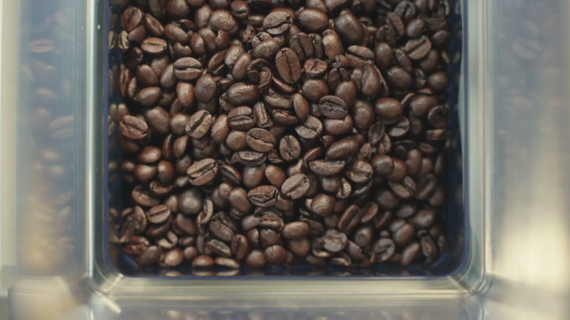 A close-up shot of dark roasted coffee beans filling a clear plastic container, ready to be ground for a fresh brew.