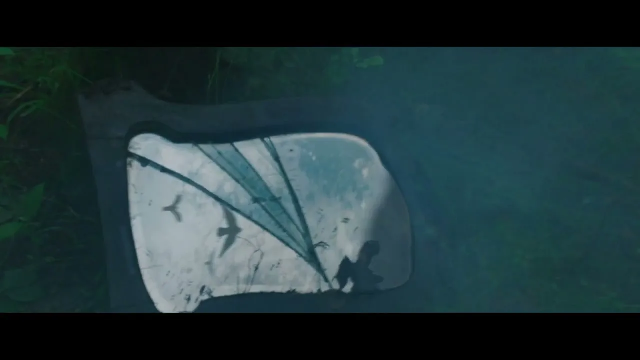 A broken mirror lies on the ground, reflecting the sky and a bird flying by, surrounded by dark green foliage.