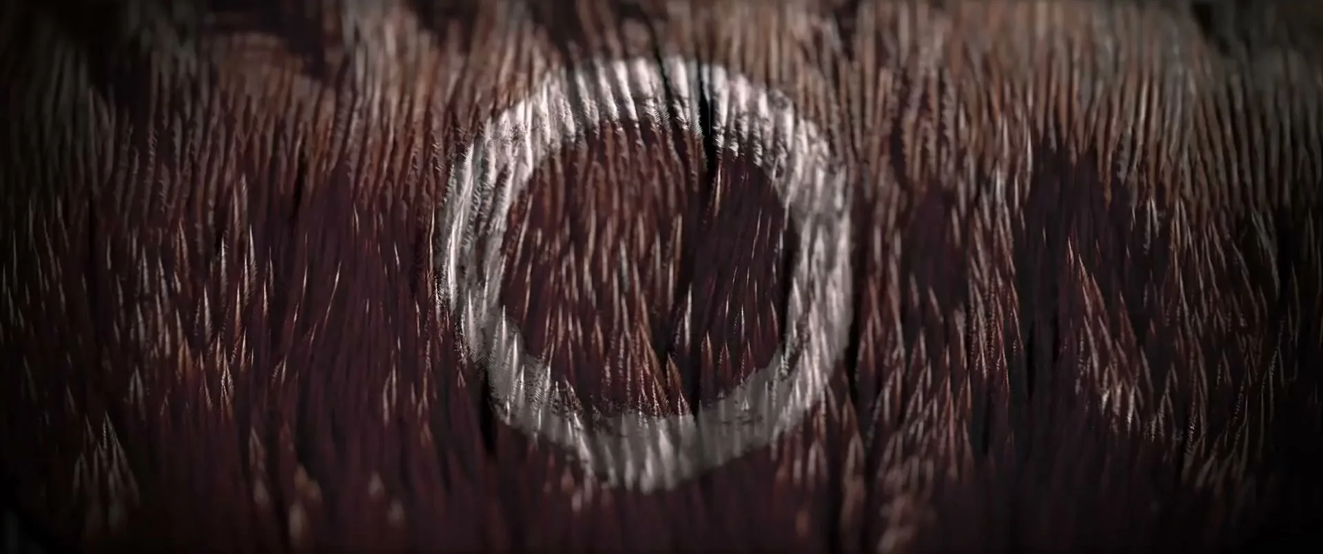 A white circle is seen on a textured brown surface that resembles fur or wood grain, with subtle light shifts.