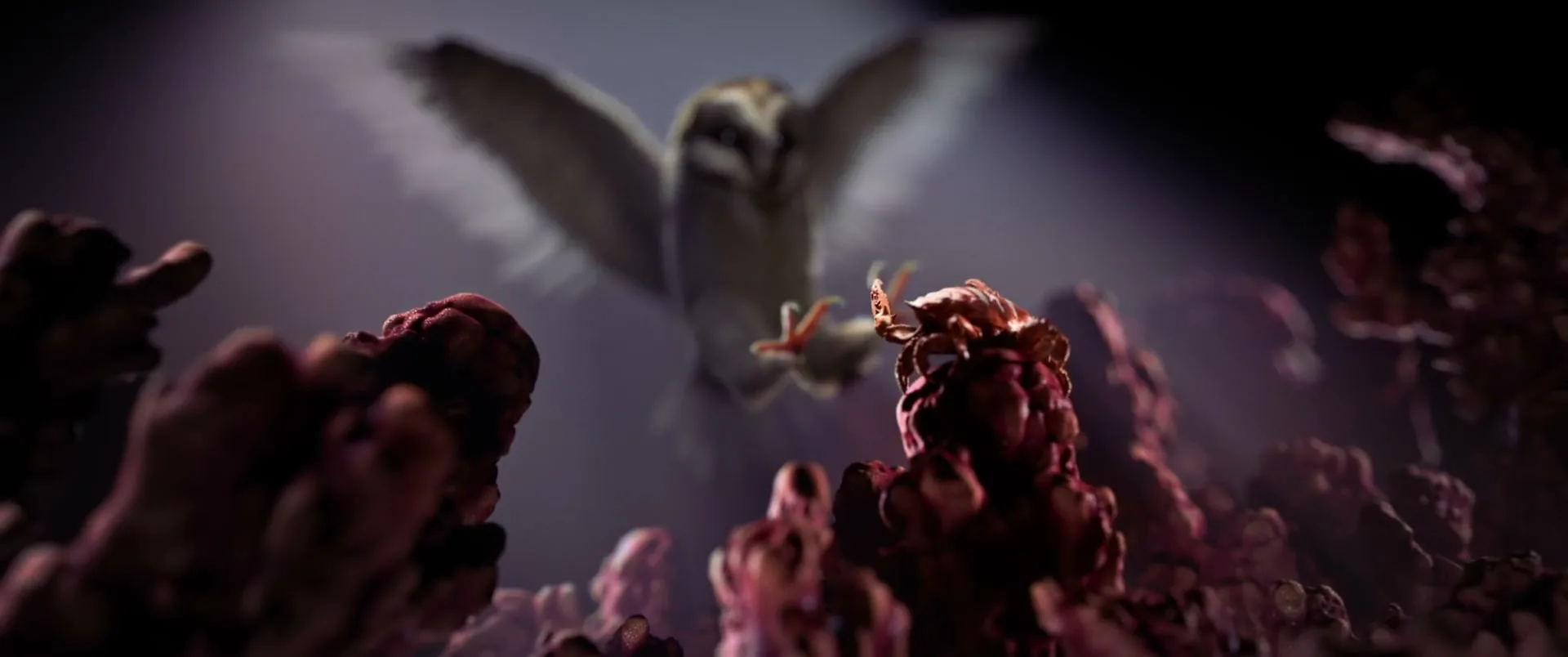 A barn owl with outstretched wings flies towards the camera, its talons reaching out, over a dark, organic landscape.
