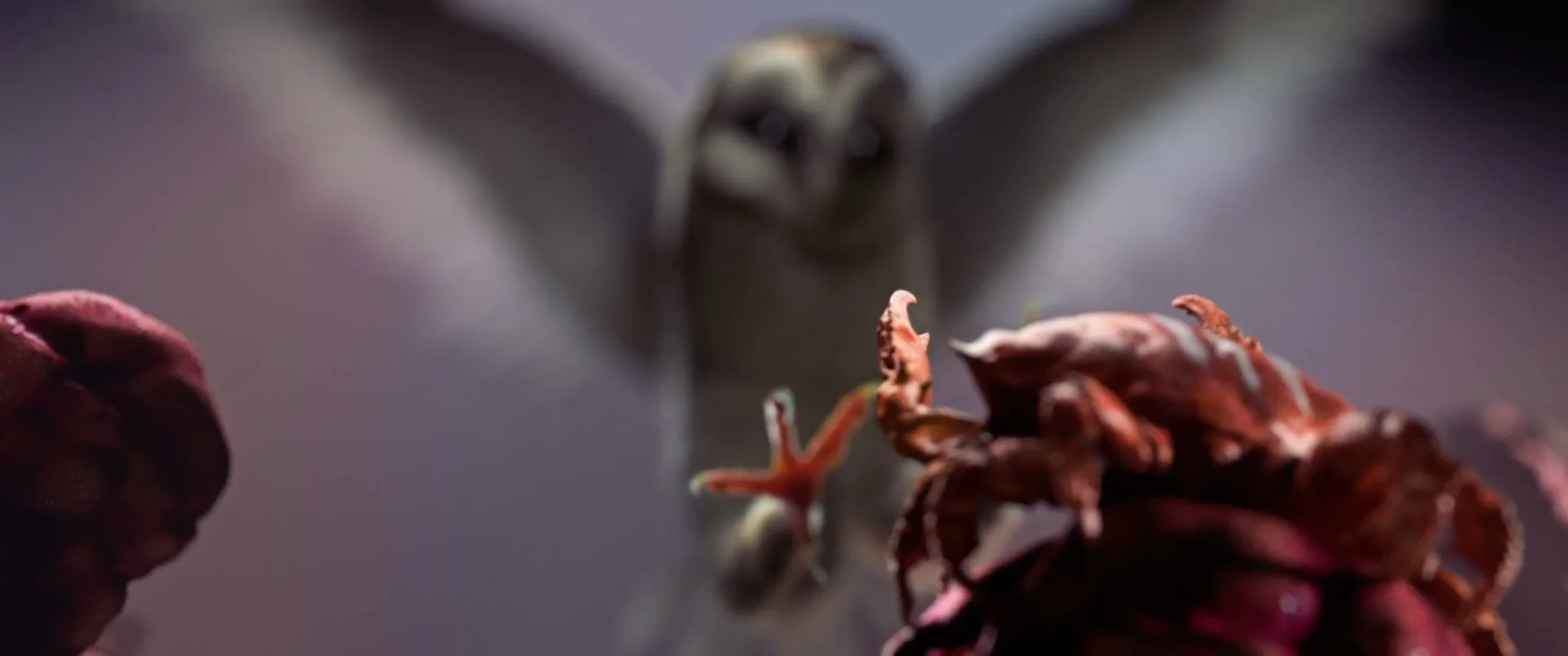 A CGI owl with outstretched wings and glowing eyes reaches out a clawed foot towards a red, alien-like creature in the foreground.