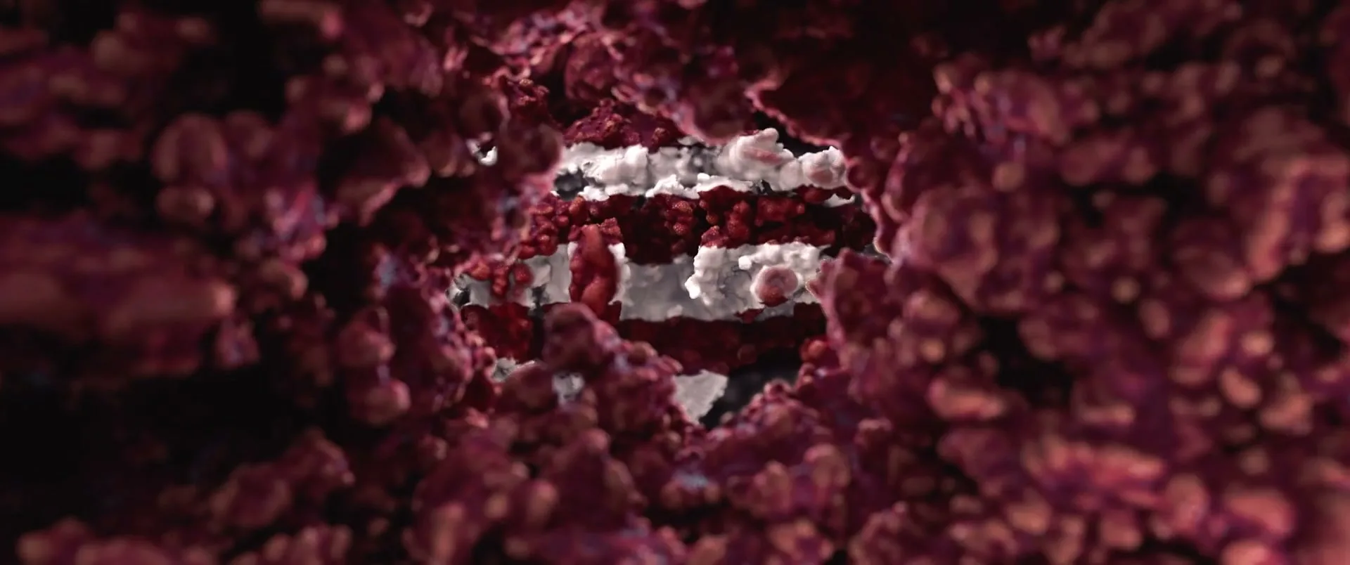 A macro shot of a tunnel of red and white organic matter, resembling a biological pathway, with light at the end.