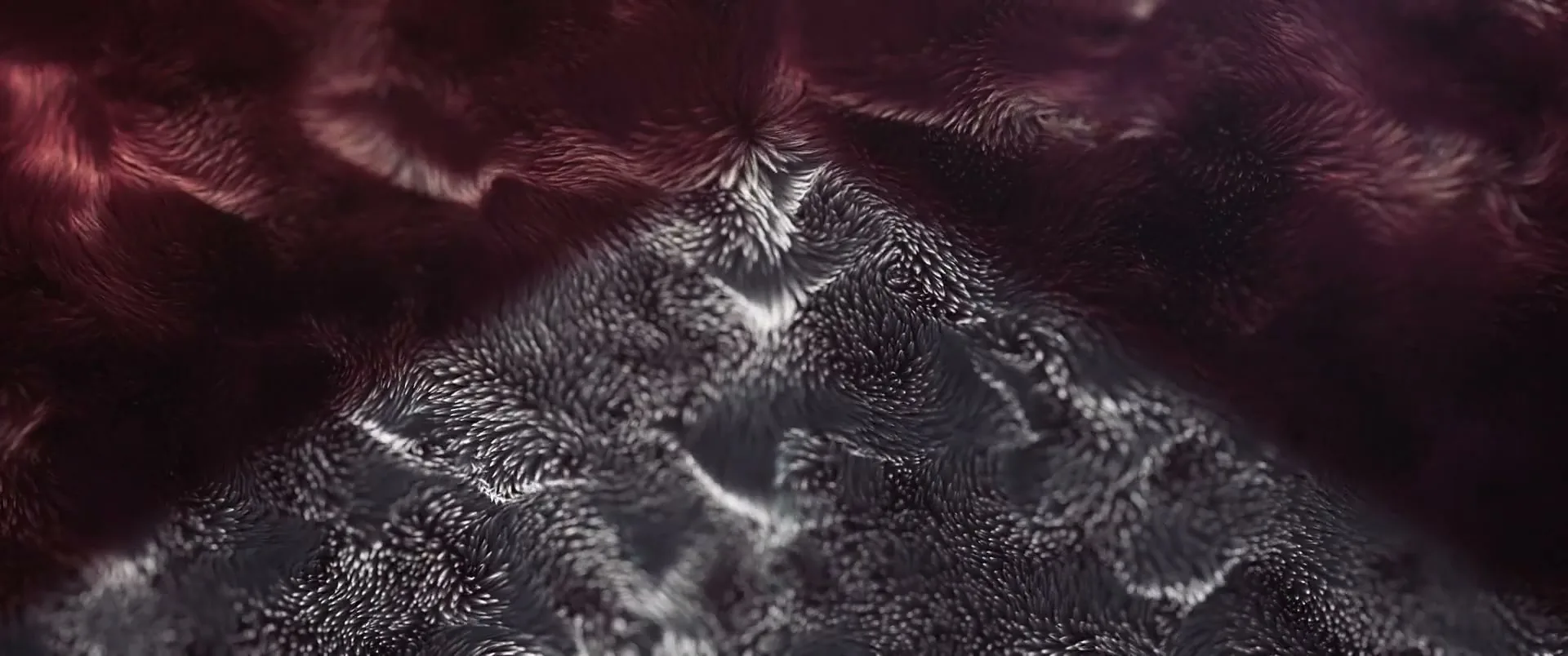 A close-up shot of abstract, dark, furry textures with white highlights, resembling a microscopic landscape, in a virtual environment.