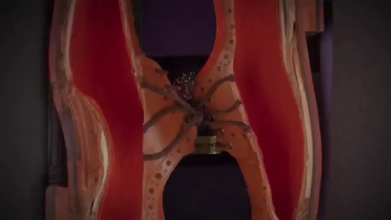 A suitcase opens to reveal a pair of shoes, a snow globe, and a boat in a snow globe, all in a fantastical, animated sequence.