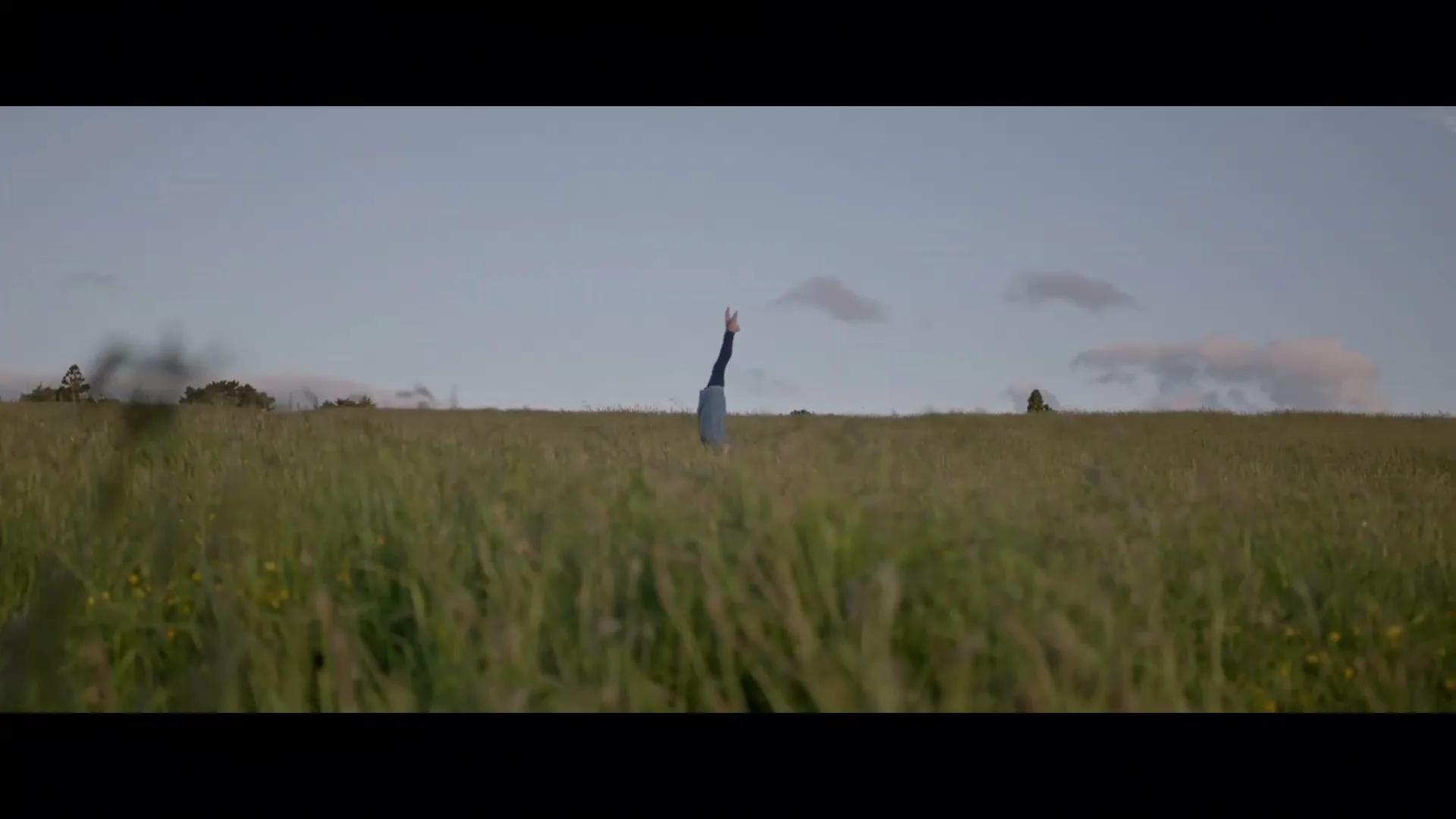 A young woman in blue jeans and a dark top does a handstand in a vast, sunlit field of tall green grass under a clear sky.