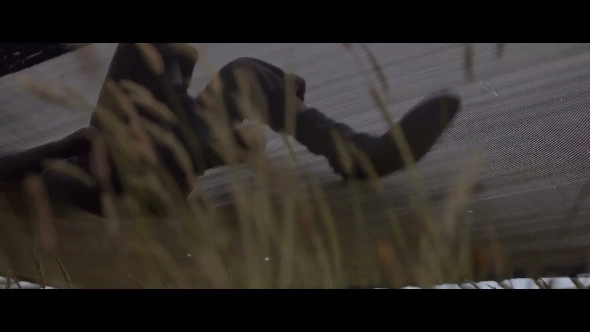 A person in dark clothing is seen from a low angle, partially obscured by tall grass, as they move across a trampoline at dusk.
