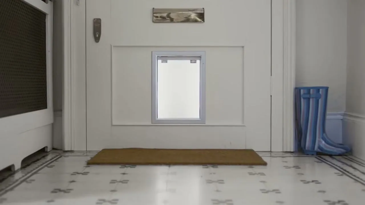 A white front door with a cat flap and a brown doormat is seen from a low angle in a hallway.