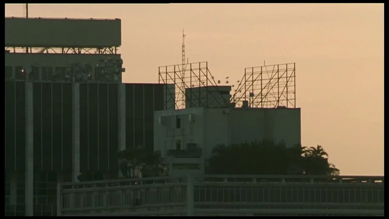 A flock of birds flies away from a billboard frame on top of a building at dusk.