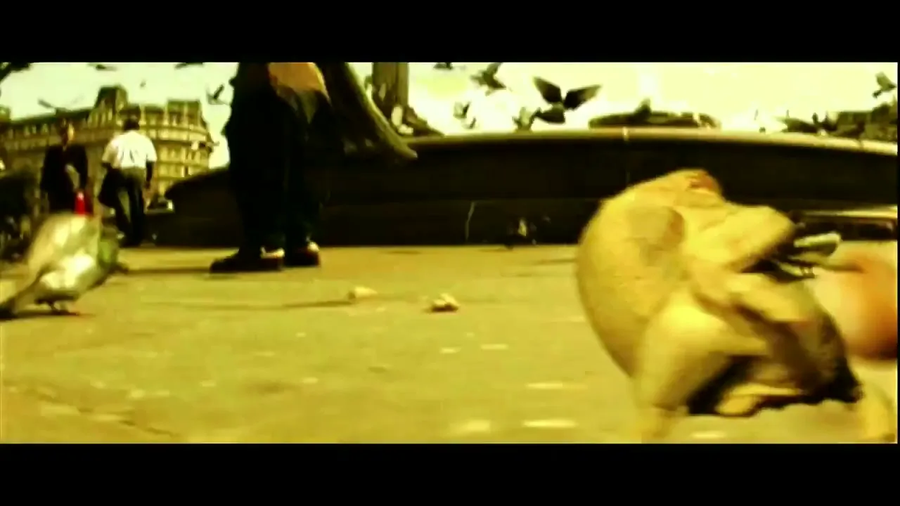 A raw chicken carcass with wings runs on the ground, chasing an egg, surrounded by pigeons in a city square.