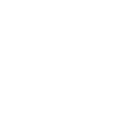 Fallon logo