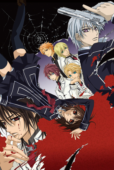 Vampire Knight poster
