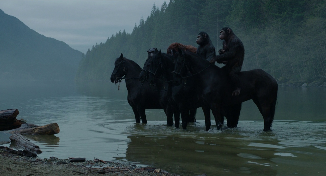 A dark lake shore backed by steep mountains covered in thick pine trees. Several chimpanzees sit atop black horses standing in the shallow water.