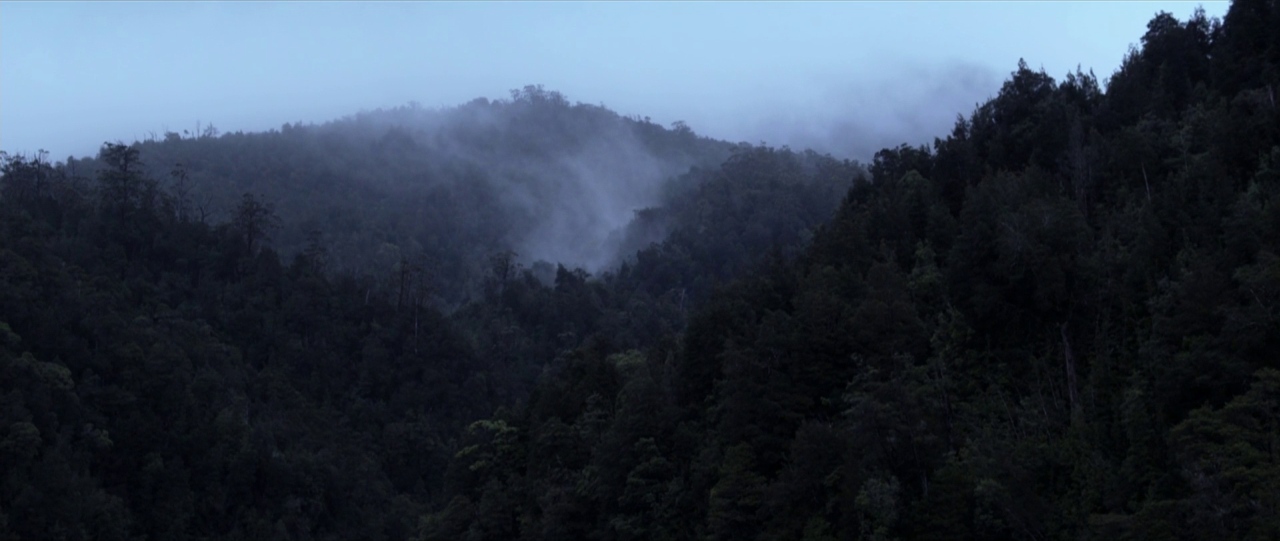 Dense evergreen trees cover the slopes of a mountain under a light fog. Low clouds cling to the peaks as the sun begins to rise.