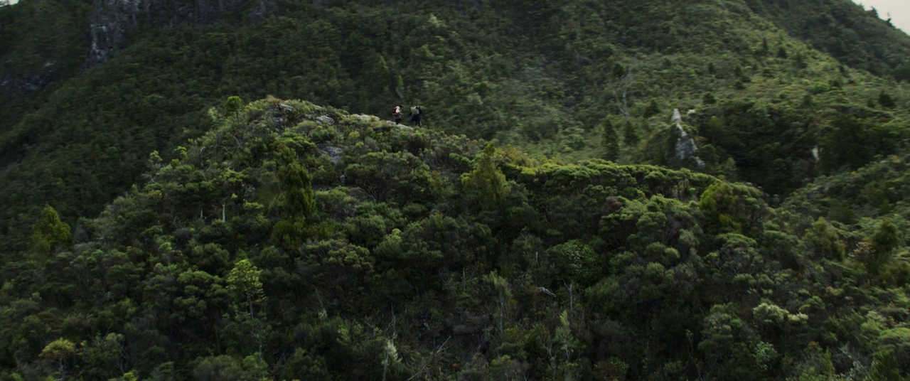 A dense mountain landscape covered in lush green vegetation and dense shrubbery. Two small hikers traverse a narrow trail along the summit of a verdant ridge.