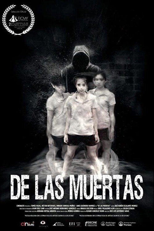 About the Deaths (2016) poster