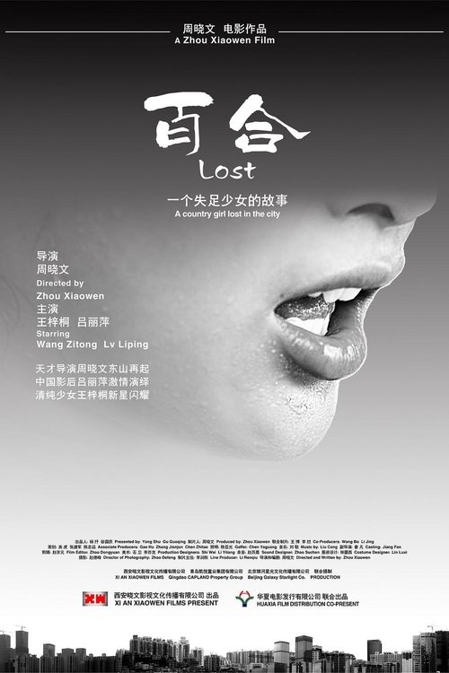 Lost (2010) poster