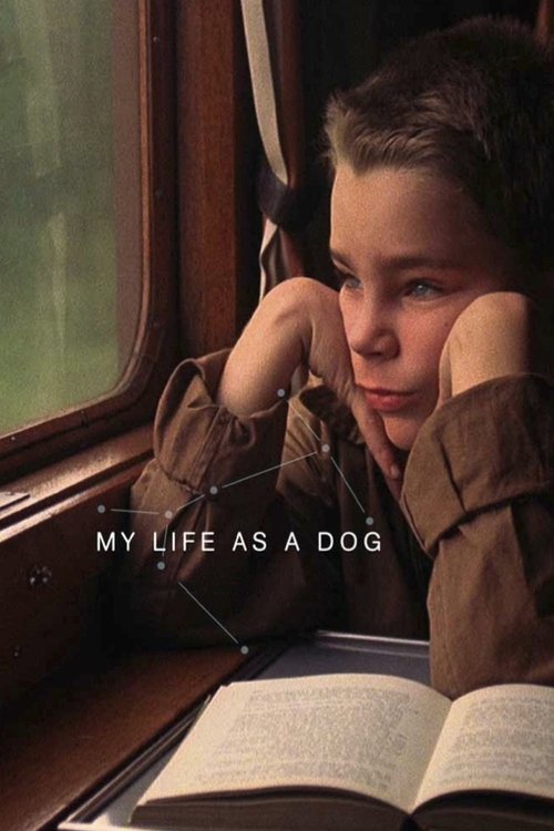 My Life As A Dog (1985) poster