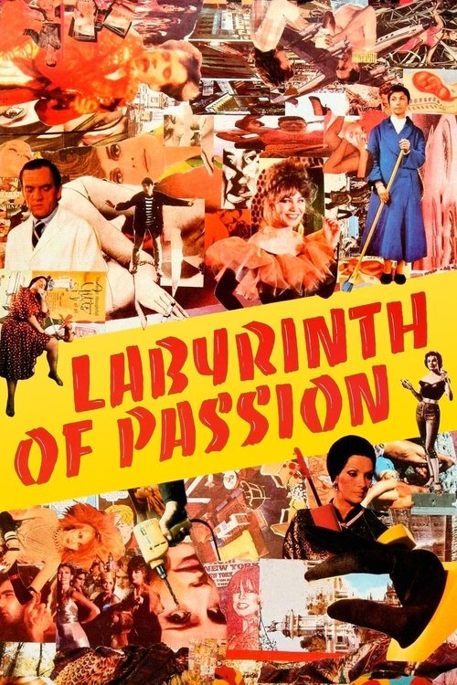 Labyrinth of Passion (1982) poster