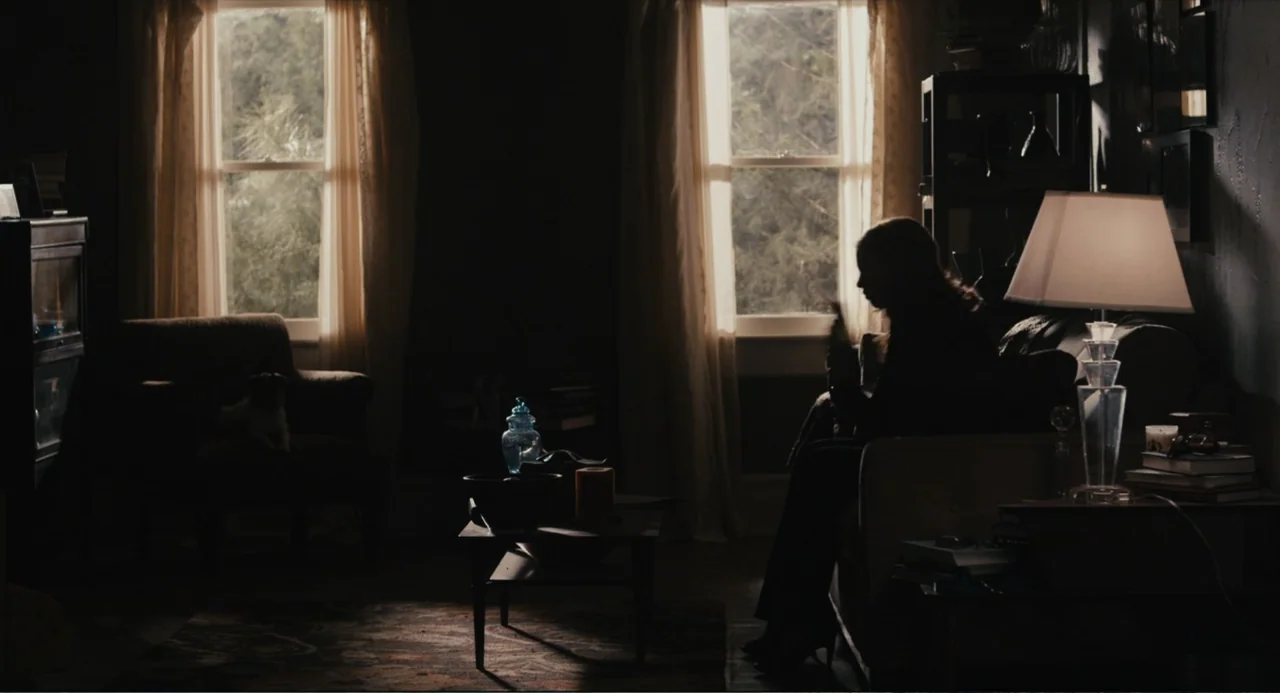 silhouette shots example from Beyond a Reasonable Doubt: A dimly lit room features two windows and a dark silhouette of a person. A woman sits on a so