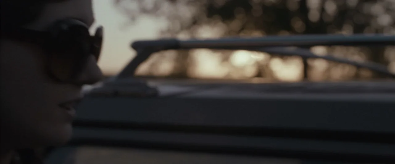 golden hour example from Maggie: A close view of a person inside a vehicle during golden hour. The person wears sunglasses while looking outward with 