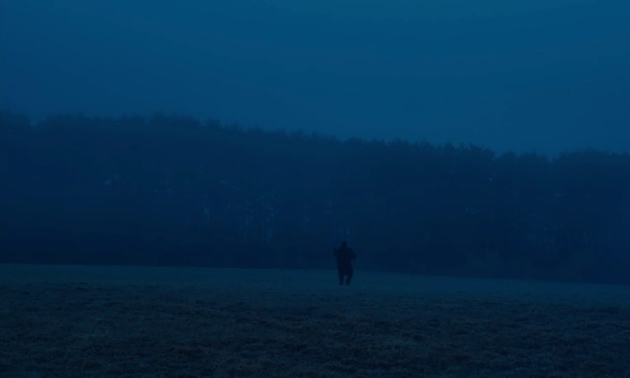 Evil Does Not Exist (2023) movie still: wide — A dark, open field stretches toward a dense line of trees under moonlight. A solitary person walks…