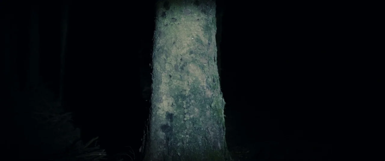 The Hole in the Ground (2019) movie still: closeup — A dark, textured tree trunk stands in the center of an otherwise pitch-black area. The rough,…