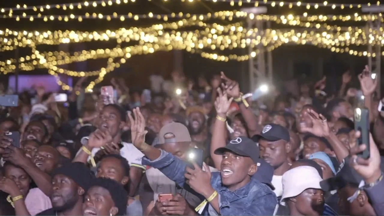African Throne World Tour (2024) movie still: medium — A dense crowd of people stands at an outdoor night event under strings of lights. Numerous…
