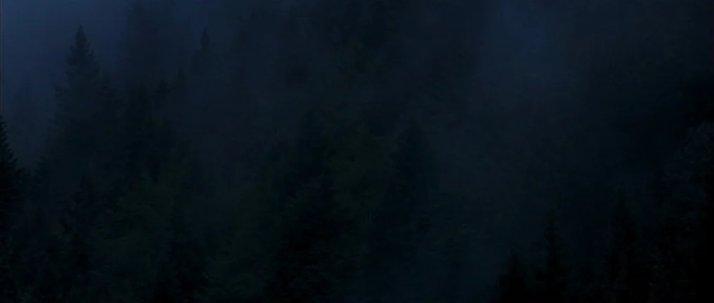 The Intruder (2004) movie still: establishing — Dense evergreen trees fill the frame under a dark, overcast night sky. Thick patches of fog weave…